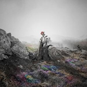 老公添添我的B骚话连
