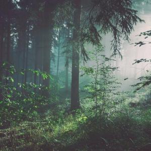 老公添添我的B骚话连
